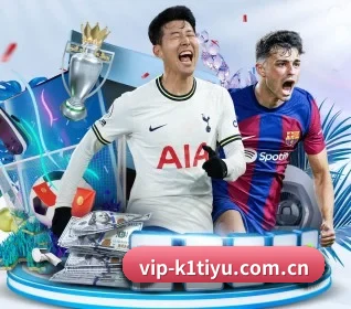 k1体育官网入口 APP